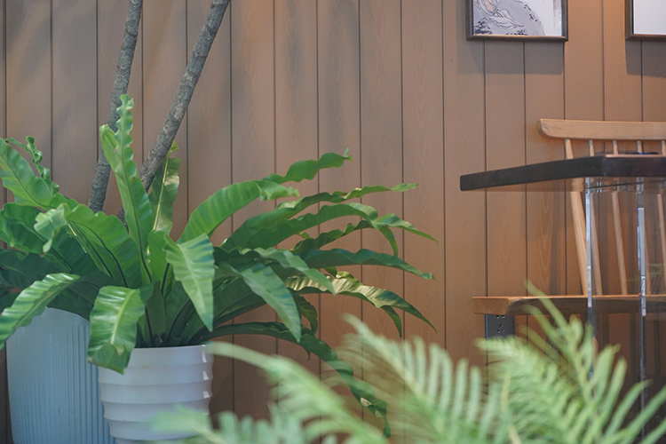 zoty��ŷ��(�й����޹�˾)�ٷ���վ