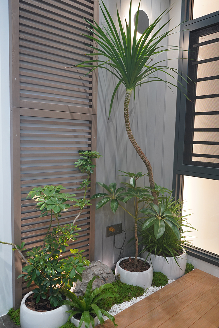 zoty��ŷ��(�й����޹�˾)�ٷ���վ