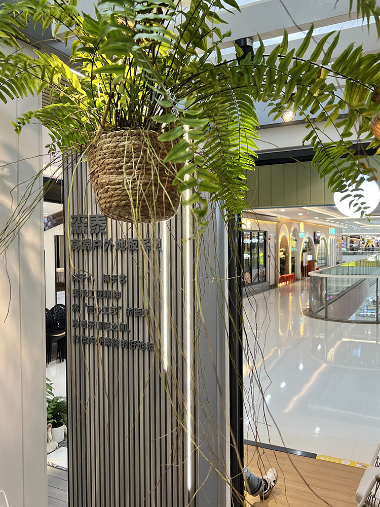 zoty��ŷ��(�й����޹�˾)�ٷ���վ