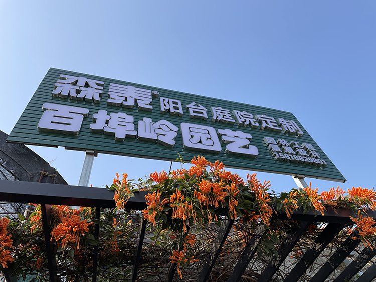 zoty��ŷ��(�й����޹�˾)�ٷ���վ