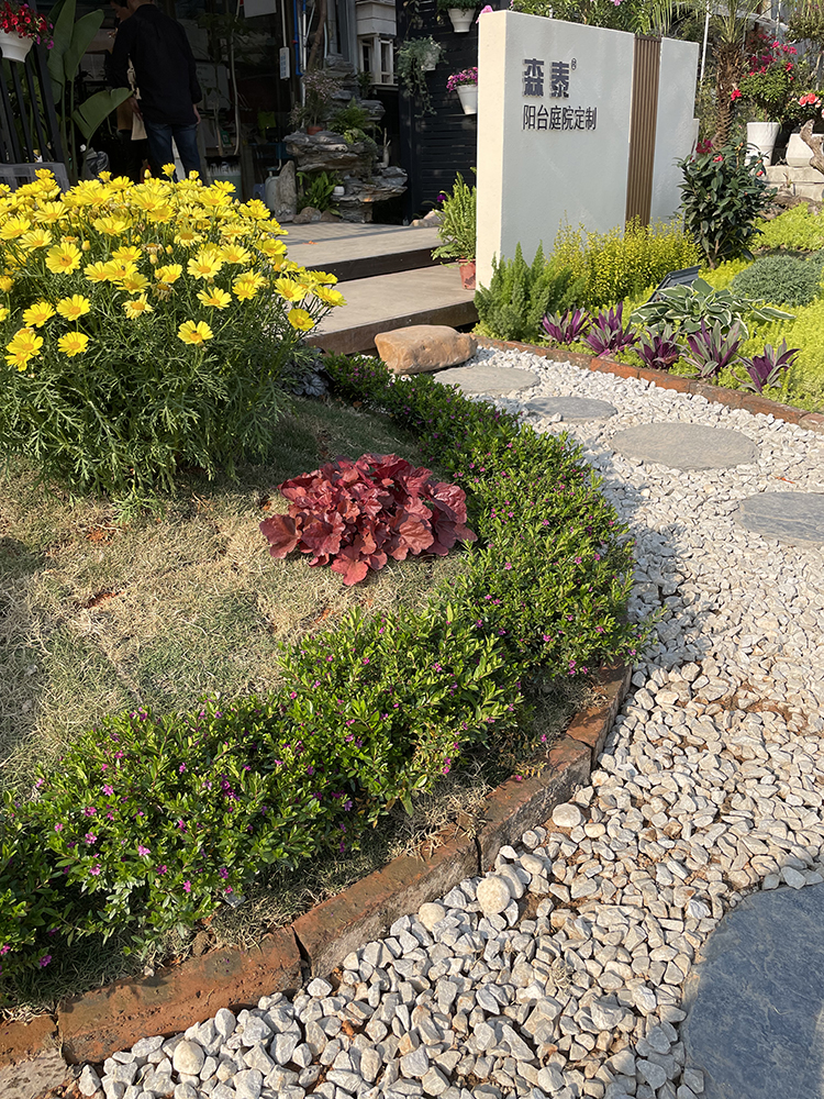 zoty��ŷ��(�й����޹�˾)�ٷ���վ