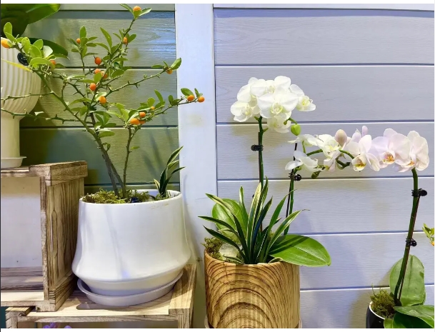 zoty��ŷ��(�й����޹�˾)�ٷ���վ