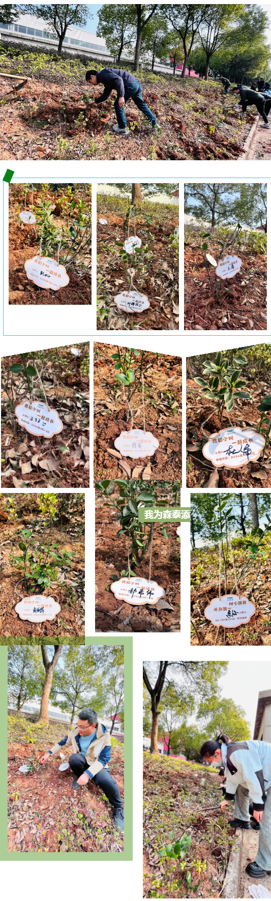 zoty��ŷ��(�й����޹�˾)�ٷ���վ